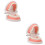 2 Pcs Model For Children Oral Education Tooth Training 6