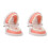 2 Pcs Model For Children Oral Education Tooth Training 2