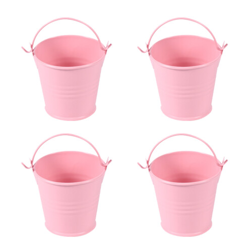 12 Pcs Iron Bucket Succulent Plant Storage For Balcony 1