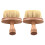 6 Pcs Wood Handle Soft Bristle Brushes For Musical Instruments 1
