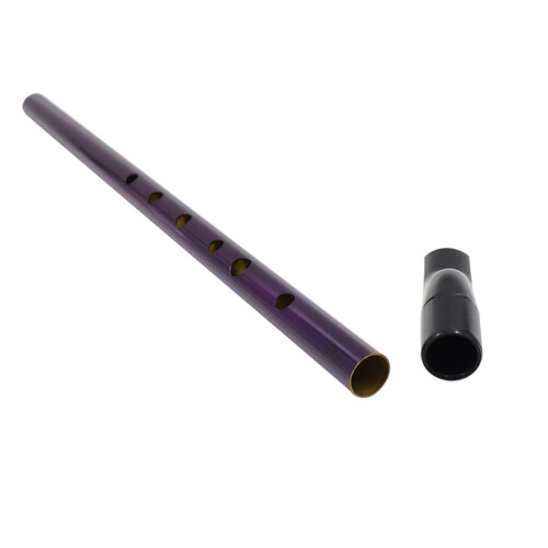 2Pcs Professional Creative Soprano Recorder For Children Beginners