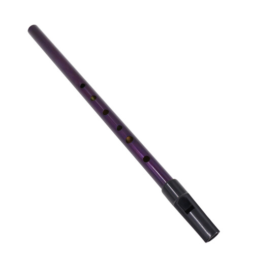 2Pcs Professional Creative Soprano Recorder For Children Beginners 1