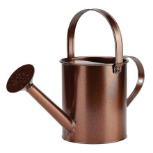 Watering Can for Indoor Plants,copper Decorative Watering Canbig Spoutwater Can for Plants easter gift