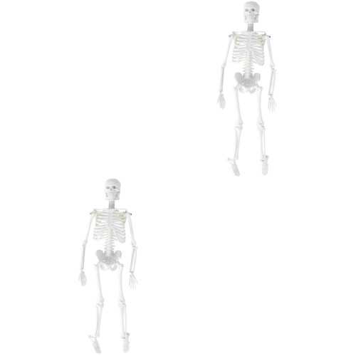 2Pcs Human Skeleton Model Medical Study With Removable Parts 45Cm 2