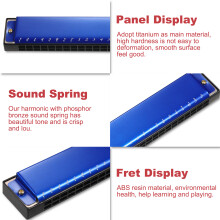 Professional 24 Hole C Key Harmonica: Portable Diatonic Mouth Organ