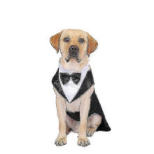 (L) Dog Tuxedo Dog Suit Pet Suit Dress Dogs Tuxedo Wedding Party Suit