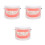 3Pcs Typodont Model For Kids Tooth Decay Brushing Tool 6