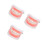 3Pcs Typodont Model For Kids Tooth Decay Brushing Tool 4