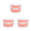 3Pcs Typodont Model For Kids Tooth Decay Brushing Tool 5