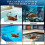 Double Power Remote Control Devil Ray Pool Toy, Rechargeable, 2.4ghz Rc Fish for Kids 5