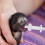 2 Set Pet Medicine Feeder With Soft Feeding Tubes 5