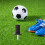 Soccer Pole Fixing Stake Corner Flag Spike Stainless Steel Insert 3