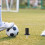 Soccer Pole Fixing Stake Corner Flag Spike Stainless Steel Insert 4