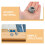 8 Pcs C-Shape Latch Clamp Adjustable Walking Stick Buckle Clips 10