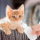 8 Pcs Small Cat Milk Bottles Reusable Nursing Feeder 9