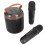 Wireless Karaoke Speaker RGB Light with 2 Microphones Bluetooth 5.3 Black 15