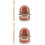 2 Sets Child Teeth Model For Oral Education Random Color 5
