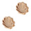 2Pcs Seashell Shaped Wooden Display Case Tabletop Shadow Box 4