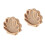 2Pcs Seashell Shaped Wooden Display Case Tabletop Shadow Box 5