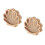 2Pcs Seashell Shaped Wooden Display Case Tabletop Shadow Box 10