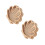 2Pcs Seashell Shaped Wooden Display Case Tabletop Shadow Box 7