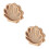 2Pcs Seashell Shaped Wooden Display Case Tabletop Shadow Box 9