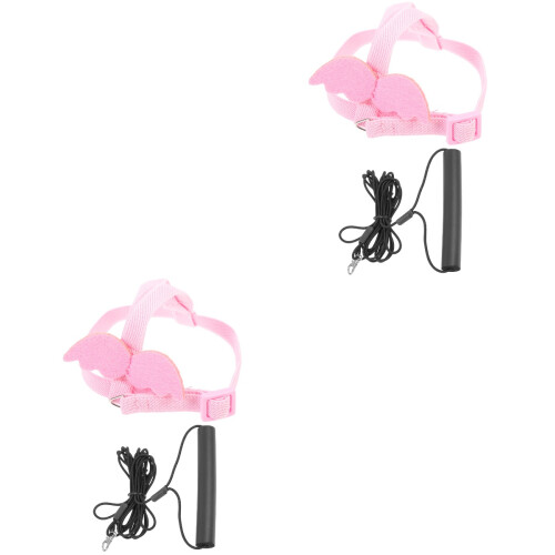 2 Sets Bird Leash Rope Elastic Cotton Lizard 2