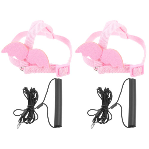 2 Sets Bird Leash Rope Elastic Cotton Lizard 1