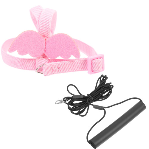2 Sets Bird Leash Rope Elastic Cotton Lizard