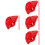 4Pcs Conch Shape 6-Hole Ceramic Ocarina Instrument 8