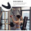 Ab Harness Cable Machine Attachment 1 Piece Universal Fit For Cable Machines Durable Ab Strap Core Training Home Gym 5