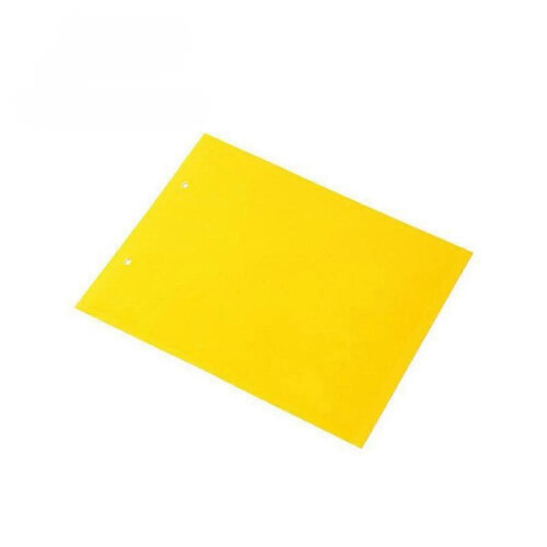 (Blue) Double-sided Sticky Insect Trap 20 * 25cm Double-sided Sticky Card 2