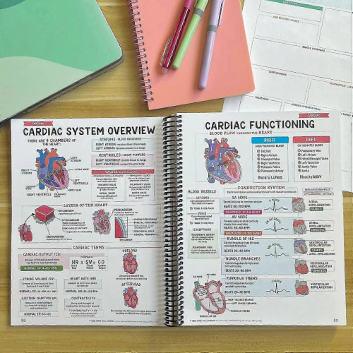 A Nurse's Study Notes Full-Bundle 400+ Page Practical Comprehensive Nursing Study Guide For Nursing Student Of All Levels 2