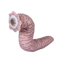 Dune Inspired Sandworm Plush Toy - Soft Red Creature for Home Decor, Gift for Kids Adults & Movie Fans