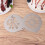 1 Set Mit 6 Schablonen Aus Für Latte 8