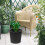 1Seau Plastique Noir Polyvalent Résistant Pour Plantes 4
