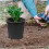 1Seau Plastique Noir Polyvalent Résistant Pour Plantes 6