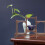 Holz Teebecherhalter Becherhalter Kaffeetasse Aufbewahrung Display 5