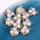 20 Strass Perlen Haarschmuck Brosche Flache Rückseite 7