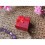 5Stk Ringbox Mit Schleife Für Schmuck Geschenke 3