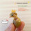 Egg Incubator Hatching Machine For Chicken Quail And Duck Eggs Incubator Model 4