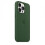 (Clover)Silicone Phone Case For Iphone 13 Pro 13pro 2