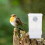 2Stück Automatische Vogelfutterstation Futterbehälter Für 9