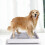 Open Type Dog Toilet Basin For Small Breeds Size M 11