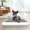Open Type Dog Toilet Basin For Small Breeds Size M 10