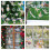 24 Sheets Bird Anti-Collision Window Decals Rainbow Stickers 6