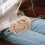 4 Rolls Crochet Yarn Polyester Wool for Knitting 11