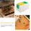 2Pcs Bee Mating Hive Breeding Box For Beekeeping And Pollination 10