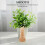 3Sets Pot Maker Papier DIY Krant Potten Khaki 5