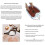 (EU Plug) Ionic Foot Spa Machine: At-Home Detox and Cleanse, Remove Harmful Impurities with Ionic Detox Foot Bath 3